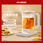 韩国养生壶玻璃多功能煮茶器电热水壶小型办公室花茶壶