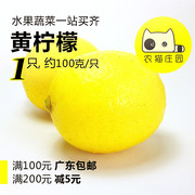 黄柠檬(黄柠檬)中果1只新鲜酸香四川安岳柠檬农猫庄园深圳水果果汁奶茶