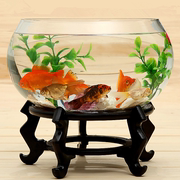 玻璃鱼缸圆形透明生态创意鱼缸，客厅桌面加厚玻璃，鼓缸金鱼缸(金鱼缸)