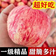 冰糖心苹果10斤山东烟台栖霞红富士苹果水果新鲜当季整箱
