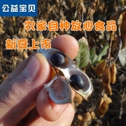 大别山新货农家自产黑豆绿心大黑豆黑豆绿芯生黑豆杂粮可打粉500g