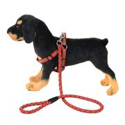 宠物狗反光牵引带中小型犬背带，狗绳子泰迪贵宾犬，宠物用品尼龙狗链