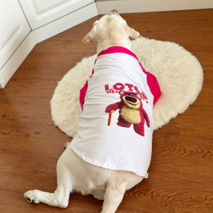 狗狗衣服大型犬薄款拉布拉多金毛，夏季衣服网红草莓，熊可爱(熊可爱)狗狗衣服