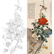 工笔画牡丹花白描底稿国画花鸟花卉，宣纸底稿临摹勾线练习打印稿子