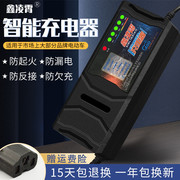 自动关机智能电动车电瓶，充电器48v12ah60v20ah72v30a通用爱玛雅迪