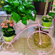 欧式创意自行车铁艺花盆架花托绿落地式多层置物架落地式阳台花架