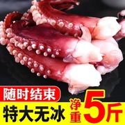 新鲜鱿鱼须5斤冷冻水产，深海鲜八爪鱼脚大章鱼足火锅配菜半斤