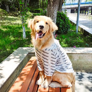 大狗狗防晒衣服夏季薄款金毛拉布拉多夏天透气中型犬大型幼犬夏装