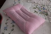 床上用品决明子枕保健枕芯枕头健康枕纯棉面料规格50*75