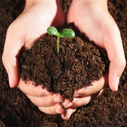 花泥营养土通用型种菜土腐殖黑土土壤种植土，多肉土绿萝养花土