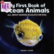 海外直订My First Book of Ocean Animals  All about Marine Wildlife for Kids 我的第一本海洋动物书 所有关于海洋野生动