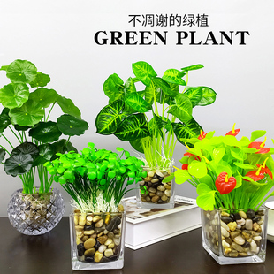 仿真植物清新假绿植摆件，客厅餐桌茶几，办公室小盆栽室内装饰花多肉