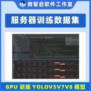 yolov9数据集代训练gpu云，服务器v5v8v7代跑自己的目标检测pt模型