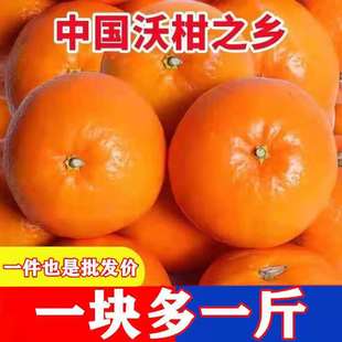 10斤正宗沃柑橘子无籽桔子新鲜采摘四川水果整箱爆汁现摘先发
