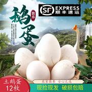 新鲜鹅蛋孕妇农家散养土鹅蛋正宗特产12枚大个生鹅蛋