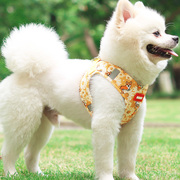 狗狗牵引绳背心式可伸缩网红遛狗绳，宠物用品比熊，博美小型犬遛狗绳