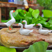 迷你小白鸭子动物摆件，花园庭院假山小水池阳台，盆景盆栽造景装饰品