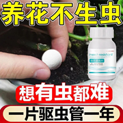 园艺防虫片糖化硼肥片绿植花卉，防虫颗粒园艺驱虫片驱蚊虫防飞蚜虫