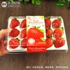鲜元草莓盒一次性高档15粒包装盒泡沫内托防震网红塑料打包盒