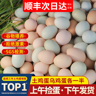 鸡蛋新鲜40枚正宗农家散养农村，无抗草鸡蛋，整箱柴乌绿壳土鸡蛋