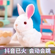 小兔子毛绒玩具兔玩偶娃娃兔年公仔，小白兔走路不会叫生日礼物女童