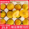 现摘砀山新鲜黄(新鲜黄)桃，10斤应当季时令，孕妇水果软脆大毛桃子整箱5