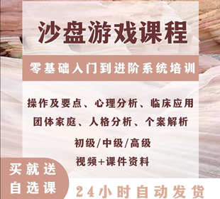 沙盘游戏课程团队教学培训学生，儿童心理分析零基础入门心理学课程