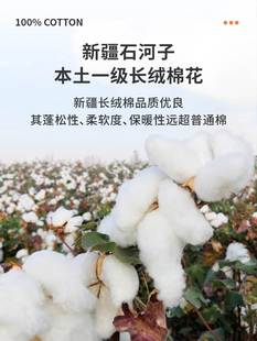 新疆棉花被子一级长绒棉被手工纯棉花被芯冬被全棉棉絮床垫被