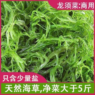 龙须菜海藻极少盐净重五斤源产地，直发商家专用新鲜海草火锅麻辣烫