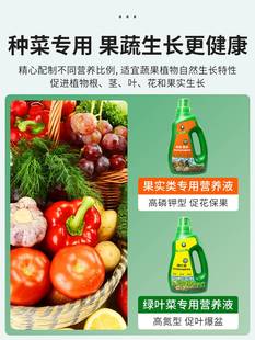 植物营养液绿叶蔬菜通用阳台种菜家用水培肥料叶菜果实类水溶