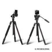捷宝F91单反照相机三脚架 微单摄影摄像便携铝合金三角架手机支架