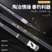 日本进口 碳素海竿远投竿套装3.9长节2.7 4.5米3.6超轻超硬抛鱼竿