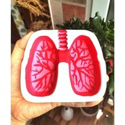 肺部形状的烟灰缸红色抖音创意个性生日男友礼物戒烟咳嗽灰缸