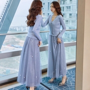 两件套装2024春秋季女士，气质时尚针织开衫吊带网纱裙子三件套