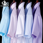 冰丝衬衫男士短袖薄款竹纤维免烫商务正装高级感职业装白衬衣夏季