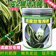 虎皮兰肥料 专用肥 金边虎皮兰营养肥料室内植物盆栽大型花卉绿植