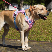 背心式狗狗牵引绳中大型犬拉布拉多金毛，柯基胸背带可调节遛狗绳子