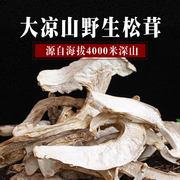 大凉山野生 松茸干货 非姬松茸新鲜 四川特产食用菌蘑菇100g