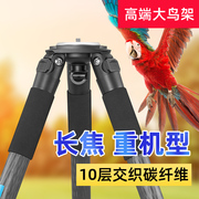 贝欣碳纤维三脚架40mm管径单反相机便携摄像专业打鸟拍鸟三角支架