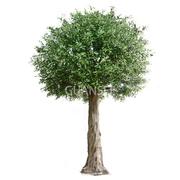 仿真大橄榄树假橄榄树造景大型植物仿真橄榄树许愿Z树室内外