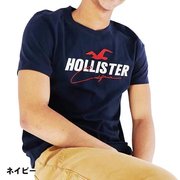 美国hollister短袖圆领T恤男修身纯棉海鸥休闲上衣af纯色打底衫潮