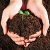 花土营养土大包养花种菜土花肥料种植土，多肉育苗土基质土泥土