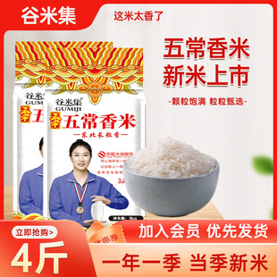 谷米集五常香米，3斤东北大米10斤黑龙江大米，2023年新米长粒香大米