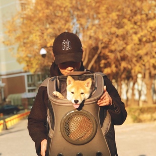 狗狗外出背包双肩外带狗书包，猫包便携太空舱，宠物包装泰迪柯基大号