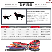 波波狗狗项圈脖圈小型中型大型犬狗圈猫圈防勒带牵引绳宠物用品