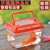 大中小号塑料乌龟缸金鱼缸爬虫，饲养宠物盒手提透明运输盒龟盒