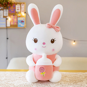 兔子毛绒玩具公仔可爱儿童，玩偶女生生日礼物女孩小白兔公主布娃娃
