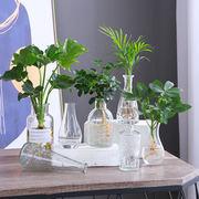 玻璃小花瓶透明水培植物容器桌面ins风格绿植花瓶客厅插花摆件