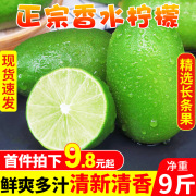 海南新鲜青柠檬9斤皮薄多汁一级小青柠香水绿色柠檬整箱9