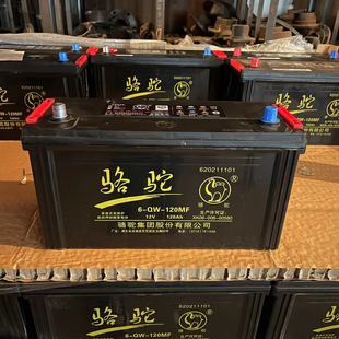 五征原厂配件骆驼电瓶免维护100A三轮车农用车拖拉机县城自提